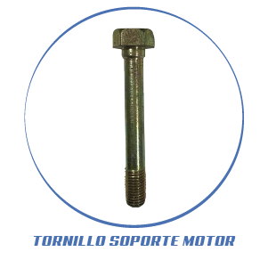TORNILLO SOPORTE MOTOR