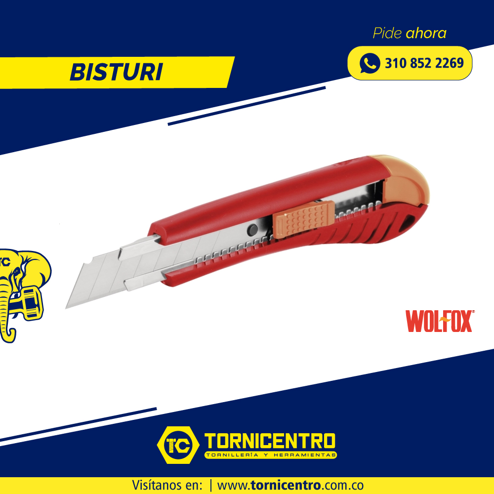 BISTURI
