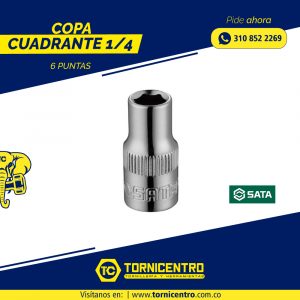 COPA CUADRANTE 1/4 - 6 PUNTAS