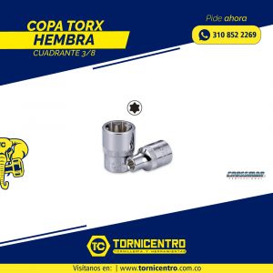 COPA TORX HEMBRA CUADRANTE 3/8 - CROSSMAN