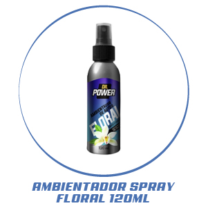 AMBIENTADOR SPRAY FLORAL - POWER